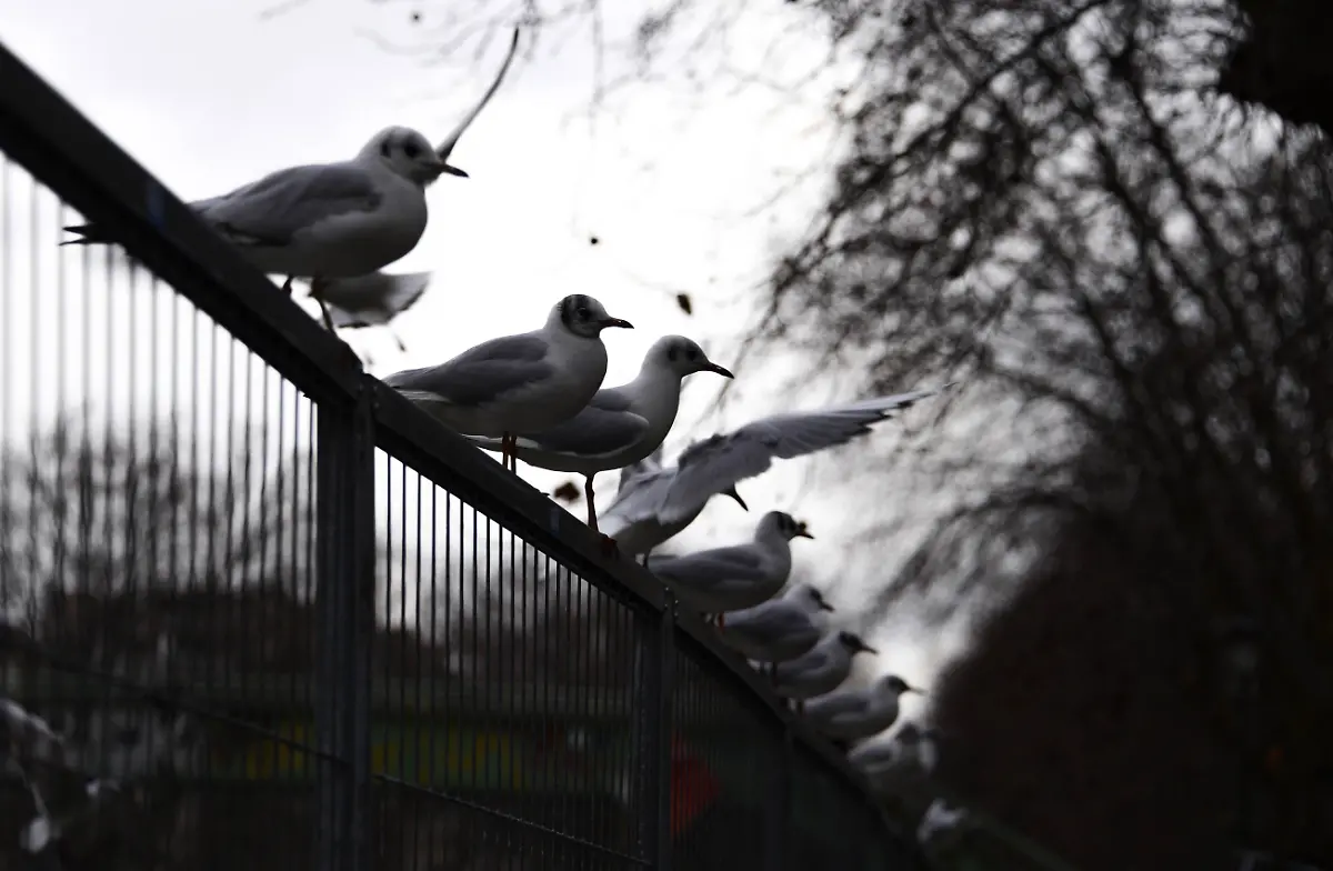 10f8ec156dbff0b9c4b91d503ba19d60