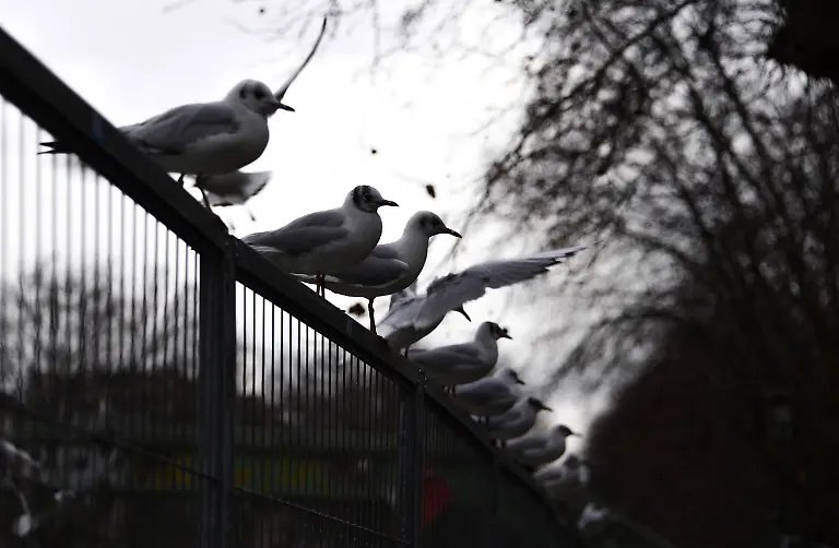 10f8ec156dbff0b9c4b91d503ba19d60