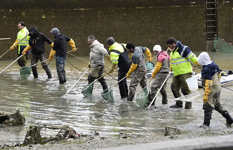 f3768483e02b7664851d767813cd2a42