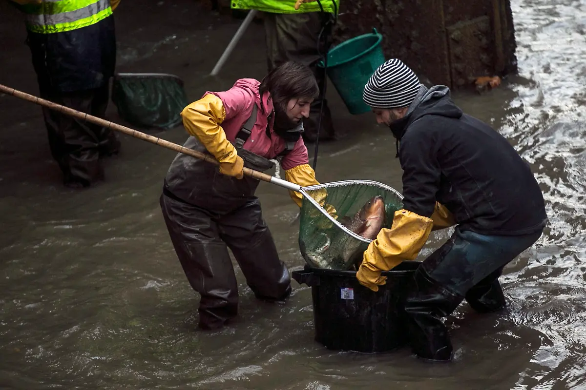 f831c1535b582c305502cd8d4e3d6322