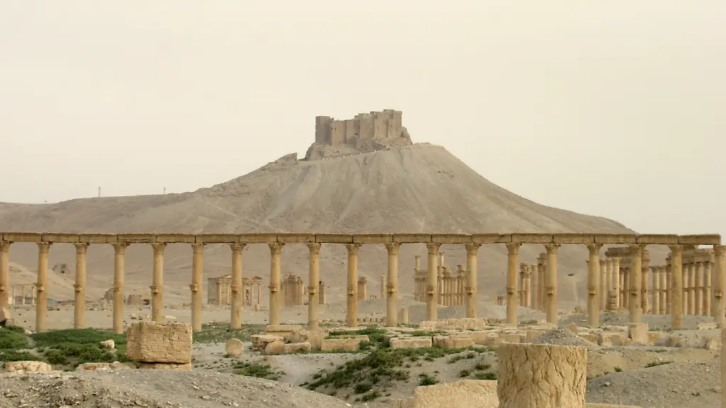 palmyra1