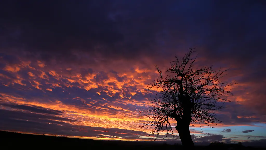 b74c05309904ae12a5e45500d2327fbb