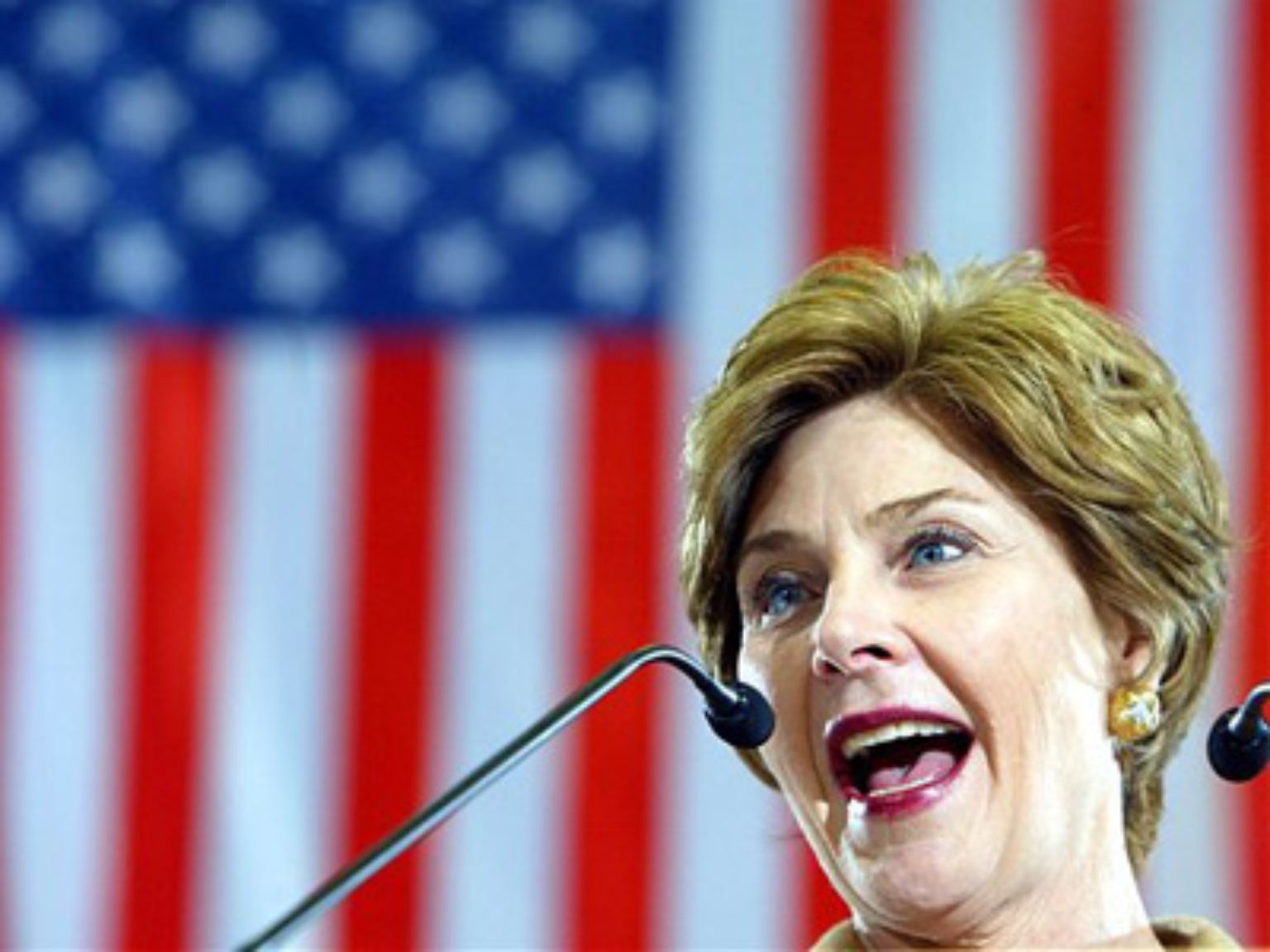 Auf den ersten Blick erscheint die derzeitige US-amerikanische "First Lady" wie aus dem Bilderbuch der konservativ-prüden USA: ...