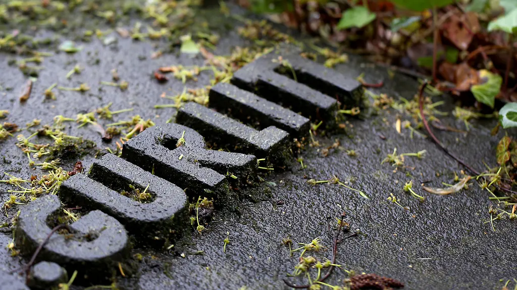 186ffc54200a7c2b7c079e7ae4715511