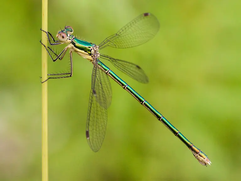 bb4d5f9f147af80bb80e5c9aa3b17632