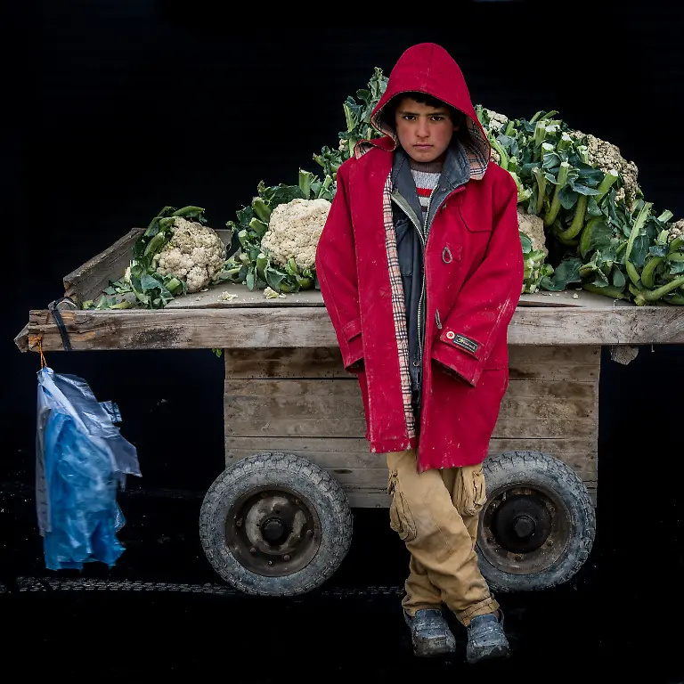 Ehrenvolle-Erwaehnung-Rada-Akbar