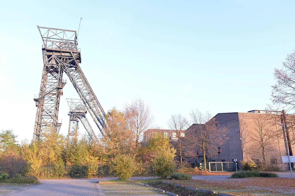 a295e9cf8b89a3f6b1e457292e175334