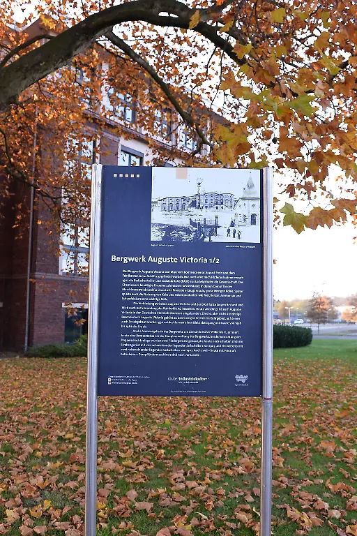 81c4e0b0c8e310c6fdf8e82a28a5242d