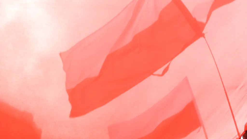 1019e0d616336b5cab0ab03c313788e2