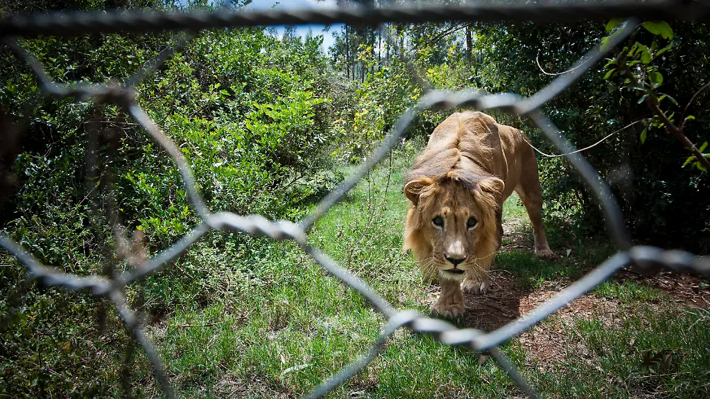 6f9714b1d3eb0b335ddceab58c6fe348