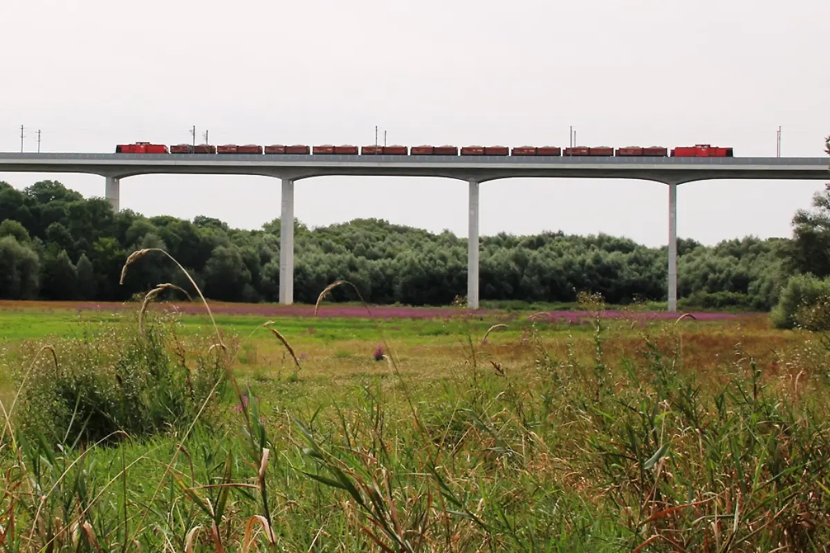 2014-08-13-20ScherkondebelastungffIMG-0730