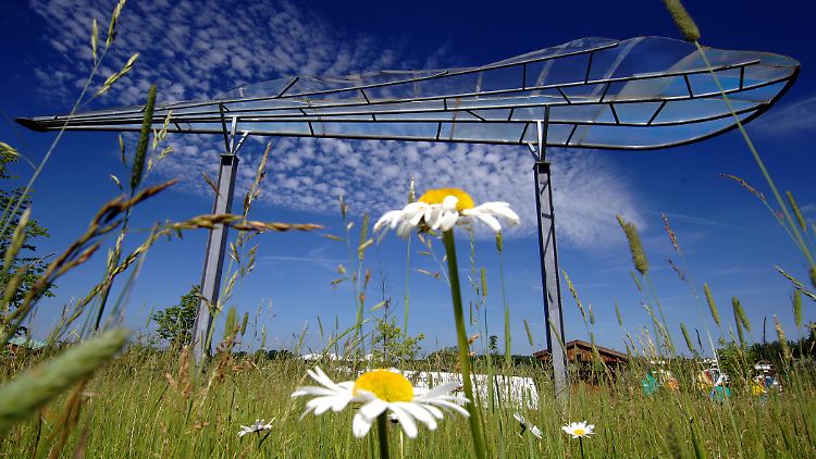Das Modell eines Insektenflügels steht im Freigelände des Zukunftszentrums Mensch-Natur-Technik-Wissenschaft in Nieklitz.