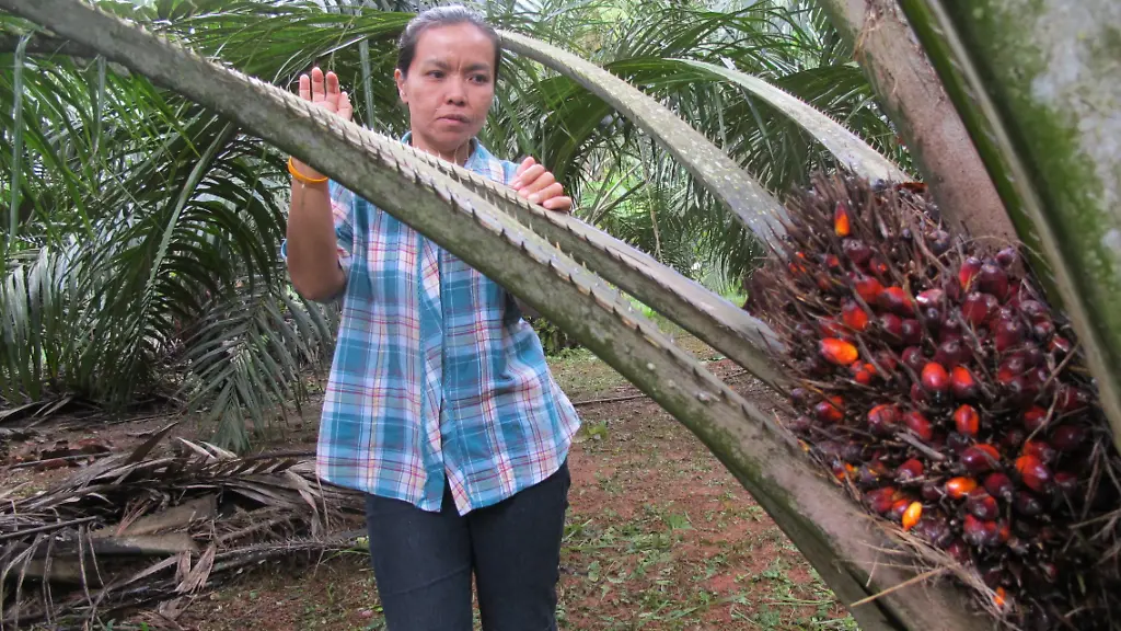 6fb397b79b431efc9c7ef1297de5da17