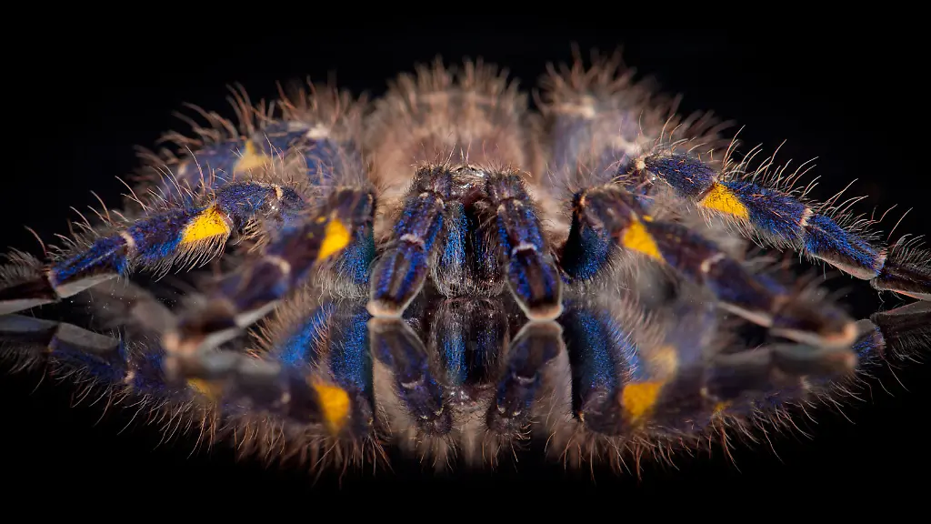 ACHTUNG-Nur-zur-redaktionellen-Verwendung-im-Zusammenhang-mit-der-aktuellen-Berichterstattung