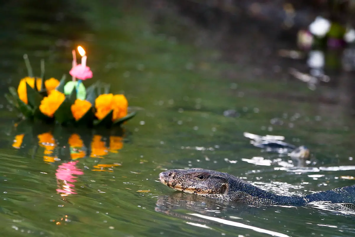 90ce836dc5bf573f13909fc7b5cbfac8