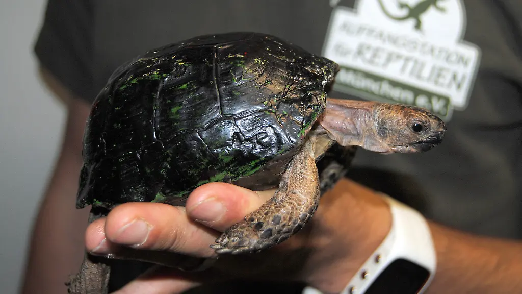 63aa2dd84c3ca7d24942f09a47e1d51c