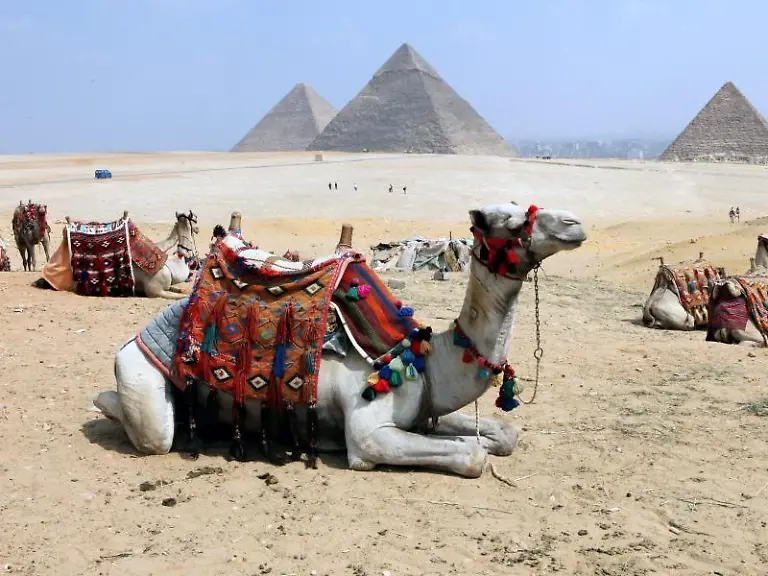 Tui-Touristik-Chef-Oliver-Doerschuck-sieht-eine-geringere-Nachfrage-bei-Laendern-wie-Aegypten-Die-von-Terrorismus-betroffenen-Laender-vollkommen-zu-meiden-sei-jedoch-verkehrt