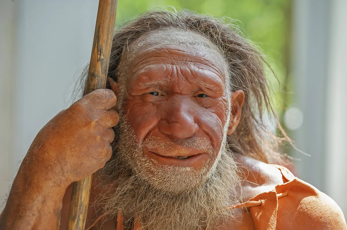 neandertaler2