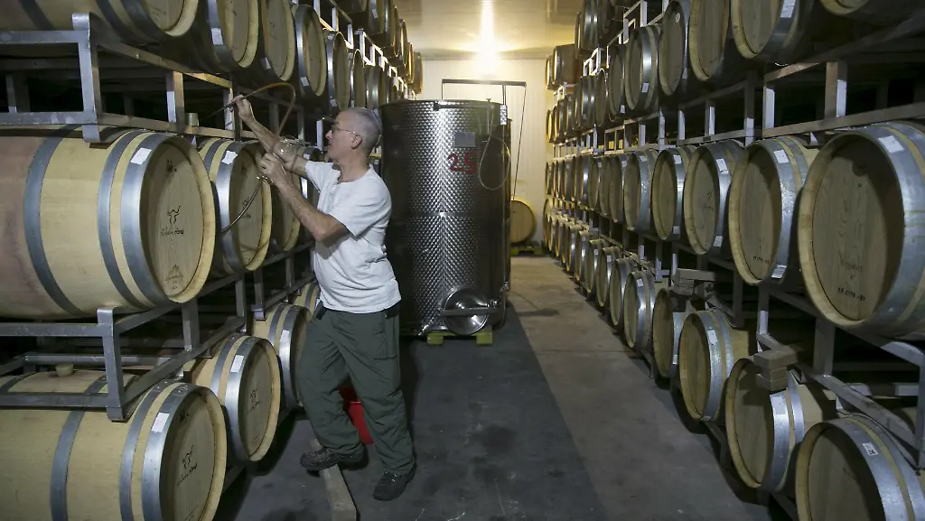 dae6413855e009a5a7f884f71c335db7