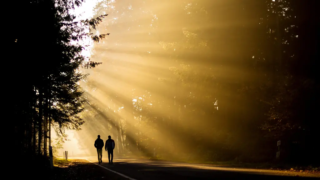 44be620990ba5f5c793fc8272525ad39