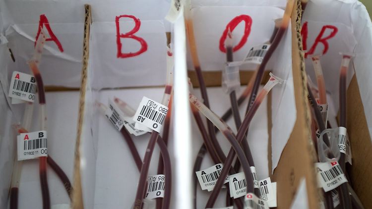 Blutspenden, die nach Blutgruppen geordnet worden sind. 
