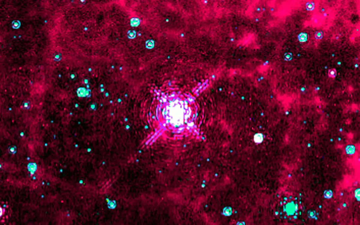 Pistolenstern-Ausschnitt