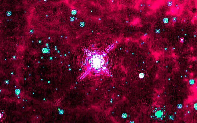 Pistolenstern-Ausschnitt