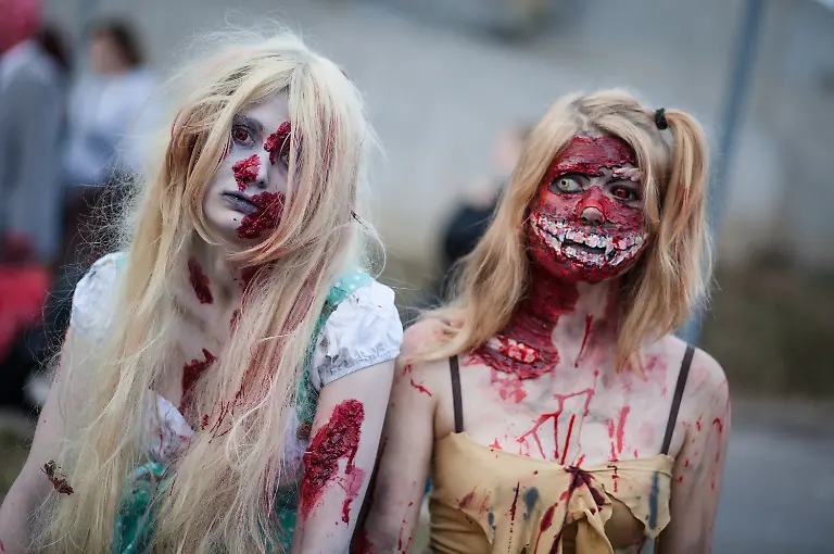 6acca3c28e4cb0a58903013ad5cd21e3