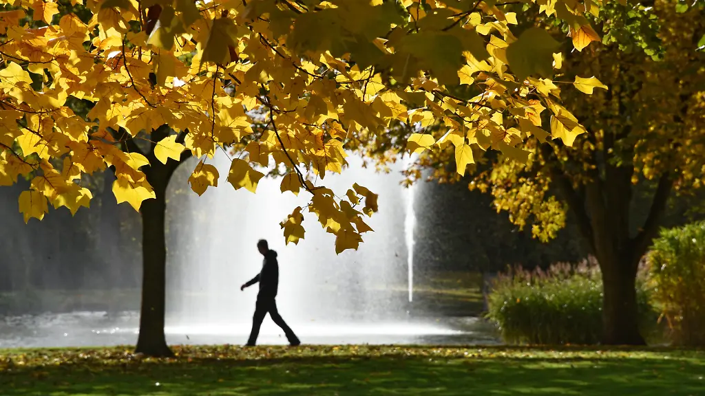 f3d69c1ce5c8834e2a129bafacb35278