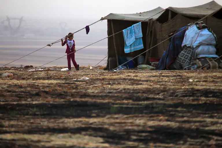 4528d5ea99ab4078b6b758ee20a11ebb