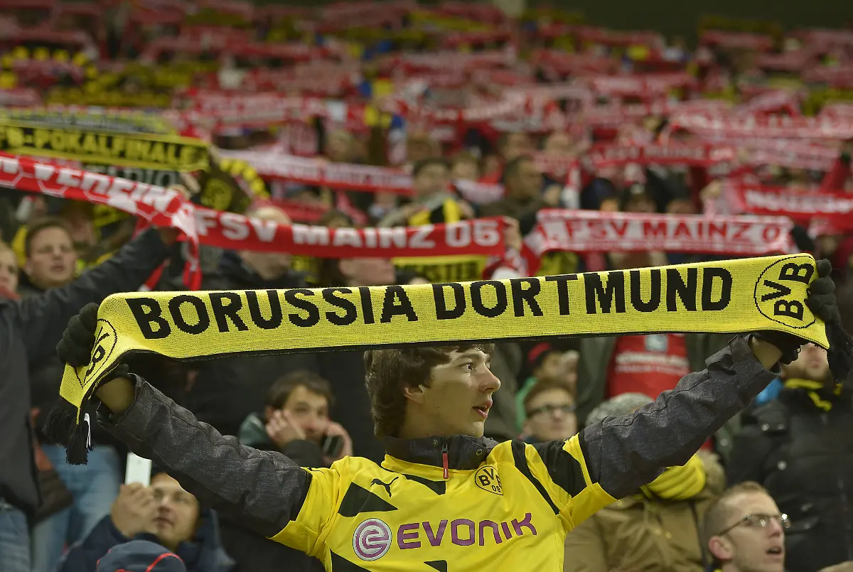 d6e376df443029498e55c63a81b5fc57