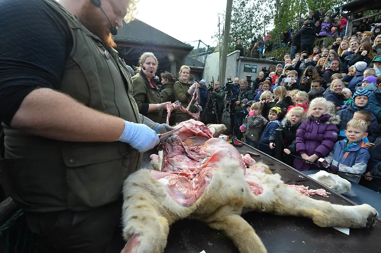 03f543f7ce0de904027bf6f6cb11d648