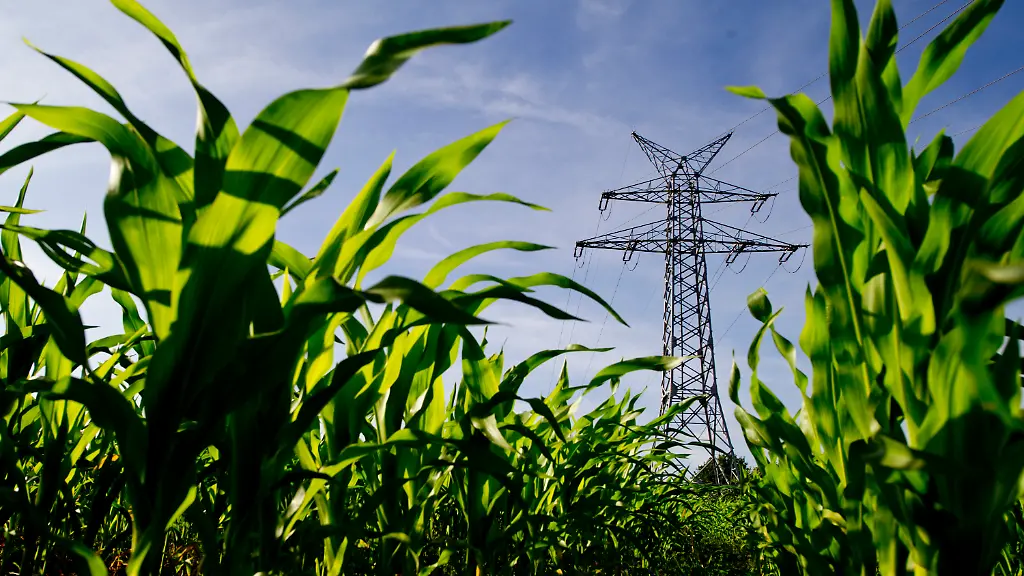 b3bda0598e84f56e3cd306d6b0ac5f6c