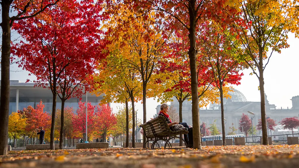 77709cccd0981f9318cff62c9cb0506c