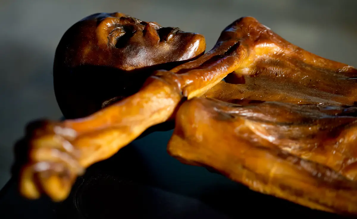 316106db6b0a71bb54f53e310752c43b