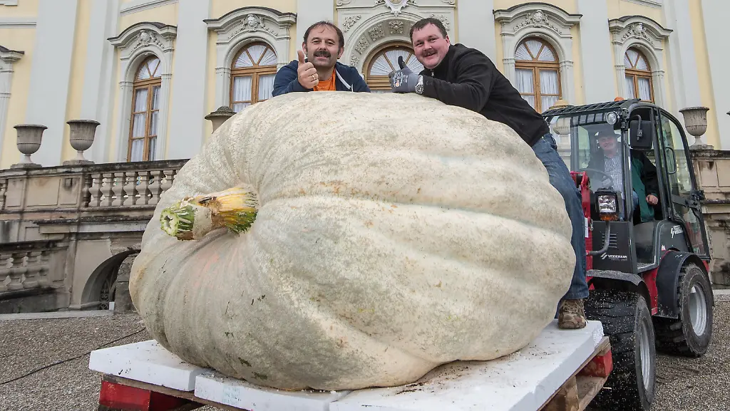 0e9c82f616bd95ac391e8f2216284946