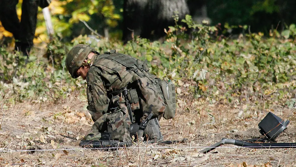 e8e42d14ff01e6a1c287a0b6b22f2bfb