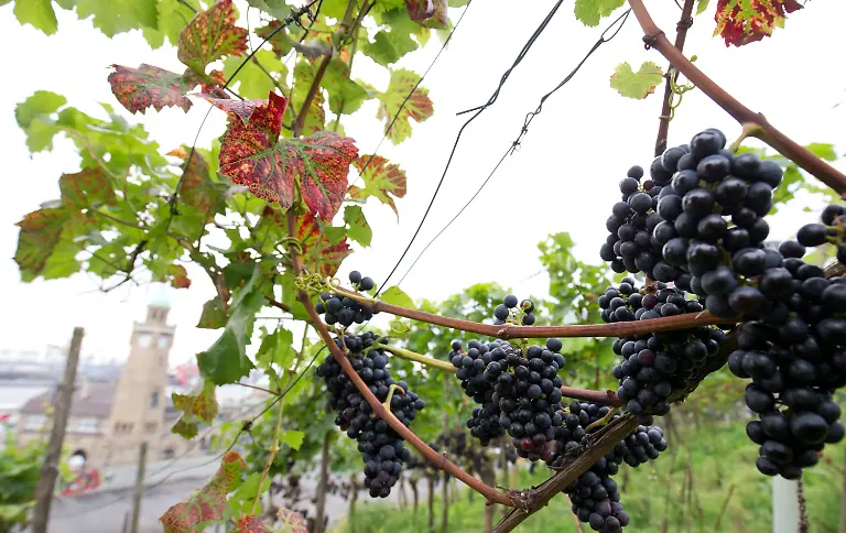 7c6e1ccc8be78afced2cea2f35724627