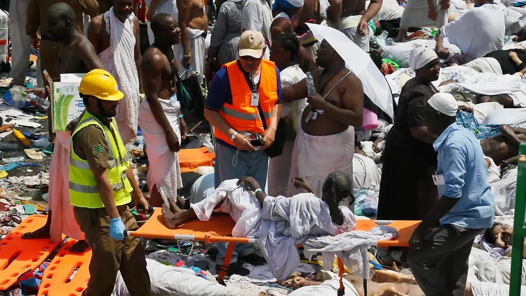 fe92a6af6c44b62ded52b9329ad0706e