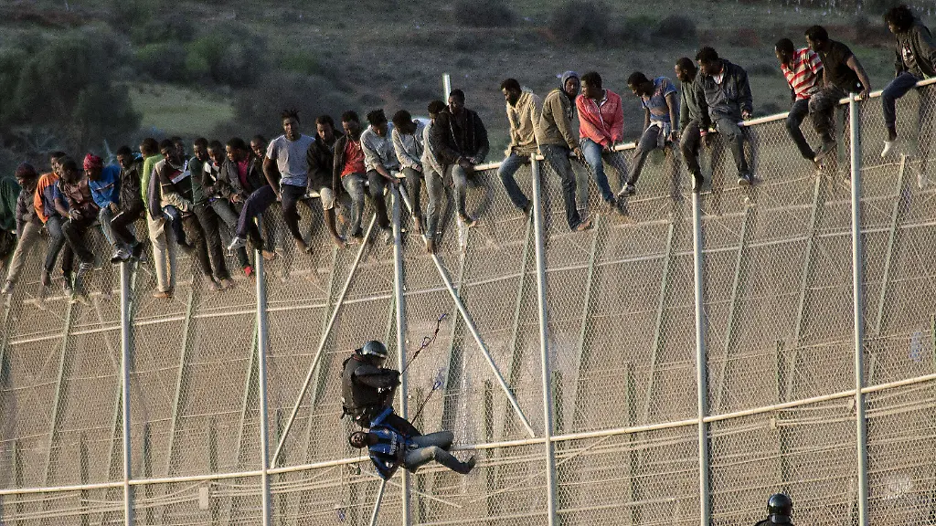 94533f3ae5b53a8bd05c8e95d52622b0