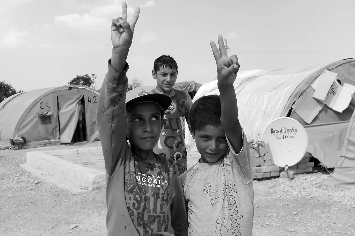 20137642065-58b7447331-o