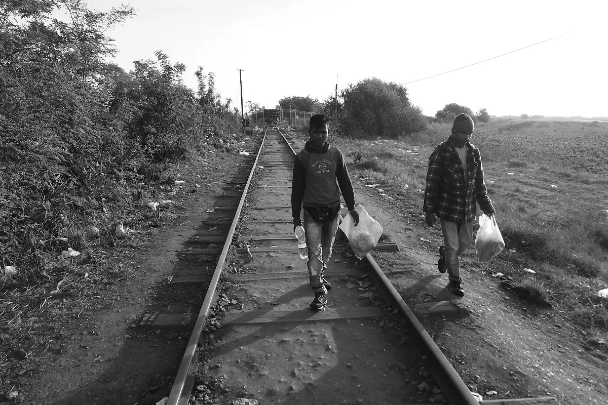 21654825601-4bd74ec947-o