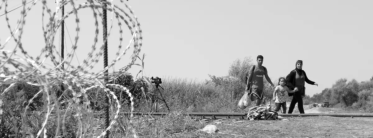 21247972571-8e68418c15-o