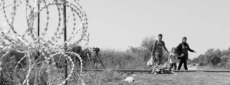 21247972571-8e68418c15-o