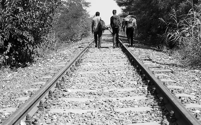 21053147329-473eff64b0-o