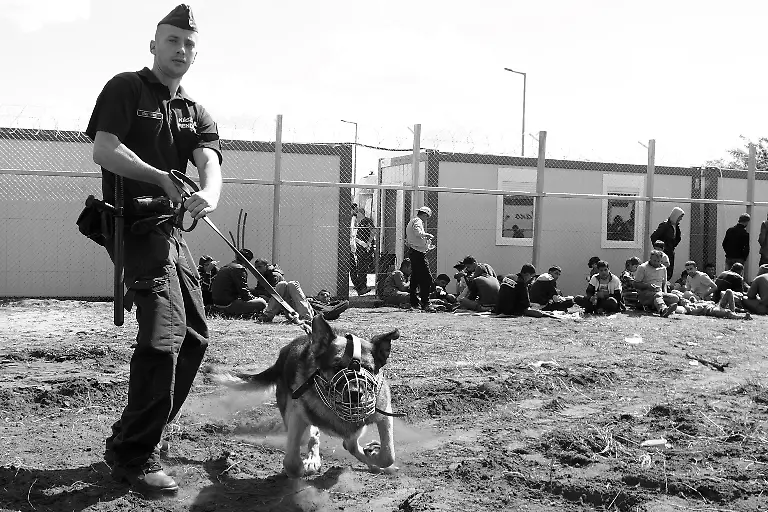 21229515602-4993444d58-o