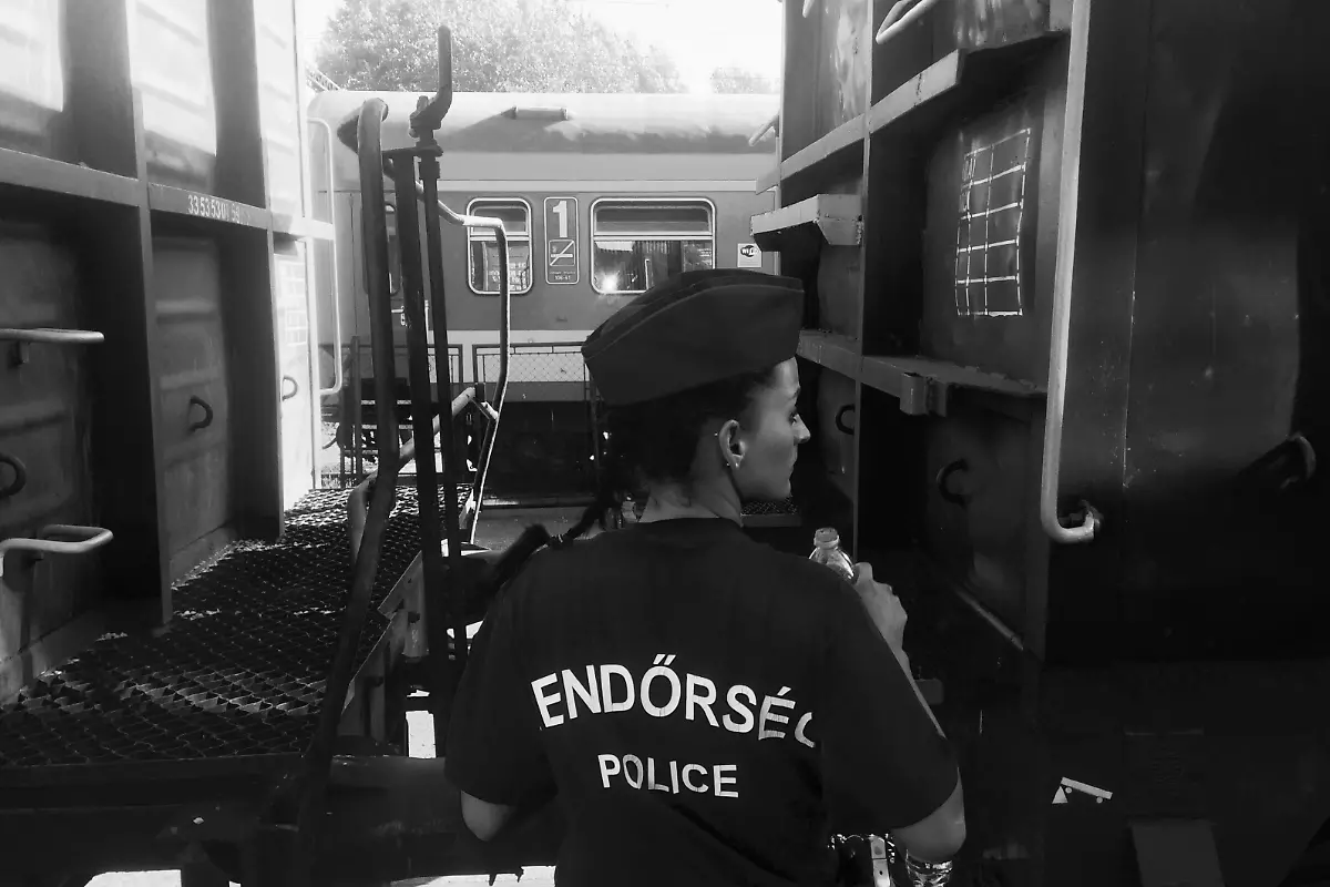 21213731036-9f796328c4-o