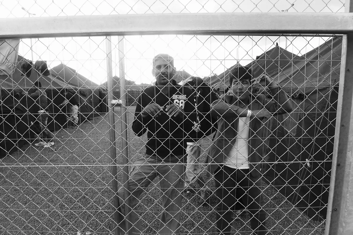 21052056878-6c8933da5a-o