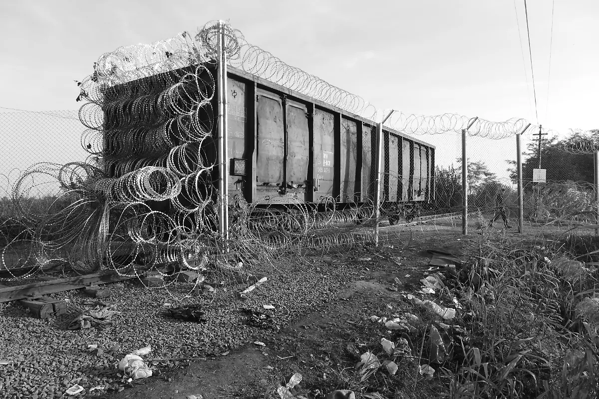 21023038334-eb2d03a7a1-o