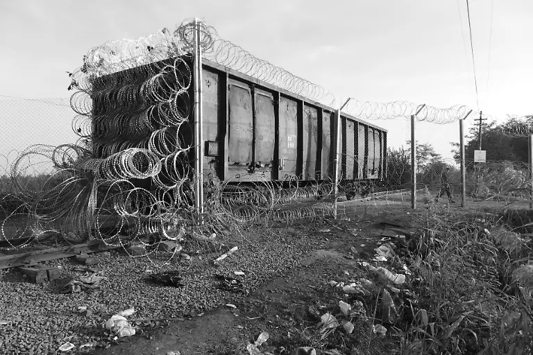 21023038334-eb2d03a7a1-o